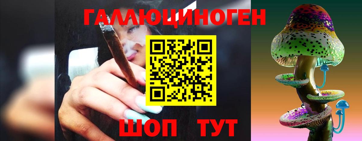 Нефтекумск  Галлюциногенные грибы Psilocybine cubensis  Вход с VPN 
